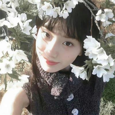美好的追寻